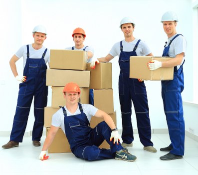Waste collection and responsible disposal preparation