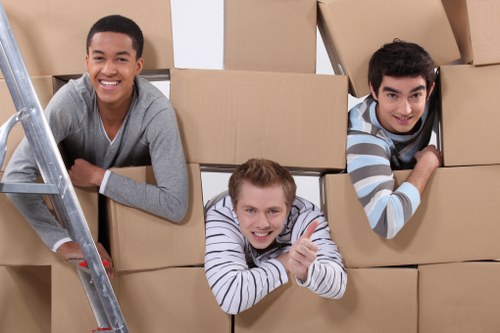 Packing materials and labelled boxes prepared for a London move
